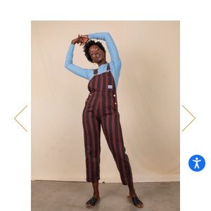 Big Bud Press Brown Stripe Overalls